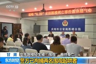 固安翟氏爆料案件最新进展,最新进展揭示惊人内幕