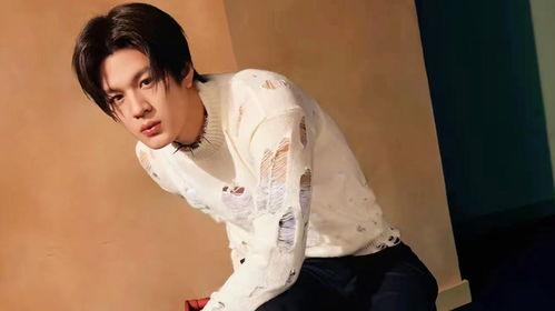 石凯粉丝爆料视频,揭秘明星幕后生活片段